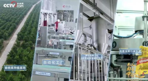 一季度營業(yè)總收入增長達(dá)36 ,洽洽食品迎來 開門紅